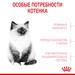 Royal Canin Kitten Корм сухой сбалансированный для котят в период второй фазы роста до 12 месяцев – интернет-магазин Ле’Муррр